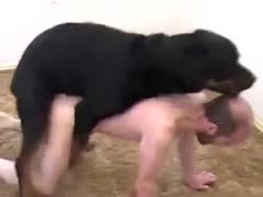 Matured stud finds happiness in his black mutt